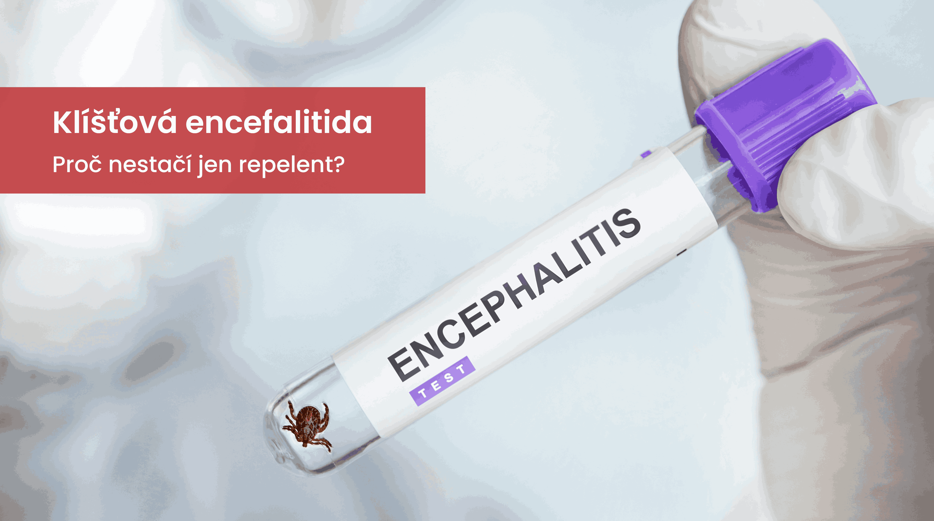 Klíšťová encefalitida